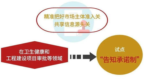 成風破浪，華彩紛呈 2020成華區營商環境建設改革成效之政務服務篇